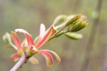 Similar image 363277