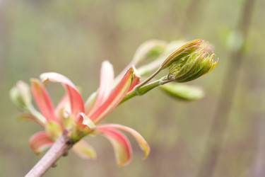 Similar image 363279