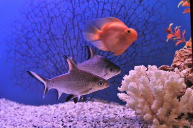 Similar image 363284