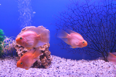 Similar image 363286