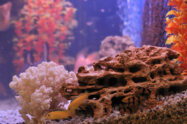 Similar image 363287