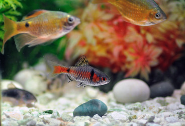 Similar image 363288