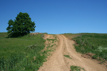 Similar image 363309