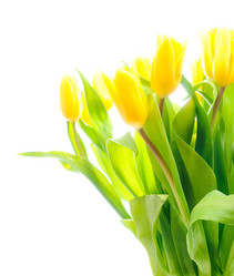 Similar image 363311