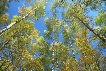 Similar image 363312