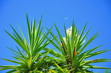 Similar image 363389