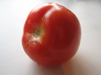 Similar image 363394