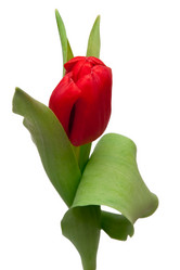 Similar image 363396