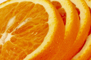 Similar image 363446