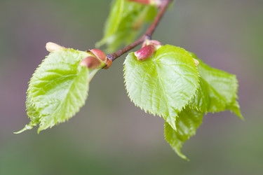 Similar image 363449