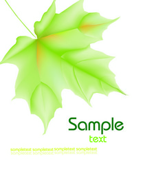 Similar image 363653