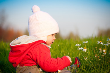 Similar image 363688