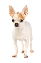 Similar image 363781