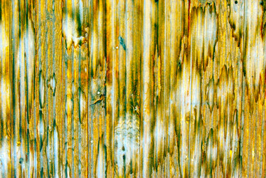 Similar image 363800