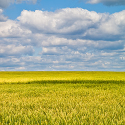 Similar image 363940