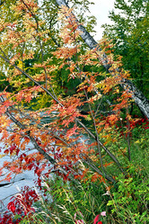 Similar image 363948