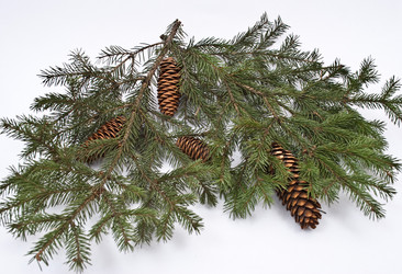 Similar image 363959