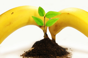 Similar image 364048