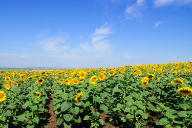 Similar image 364054