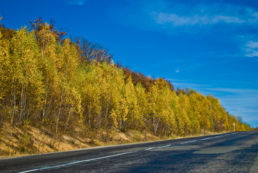 Similar image 364057