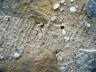 Similar image 364072