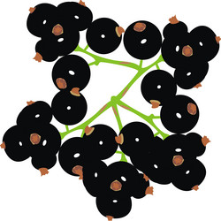 Similar image 364088