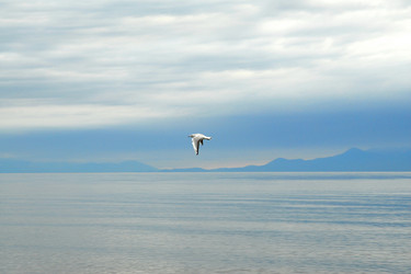 Similar image 364104