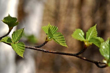 Similar image 364132