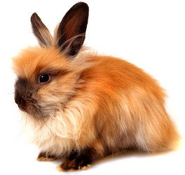 Similar image 364135