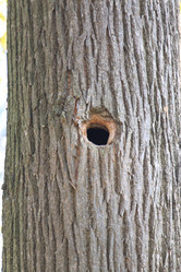 Similar image 364136