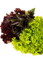 Similar image 364139