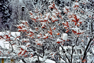 Similar image 364144