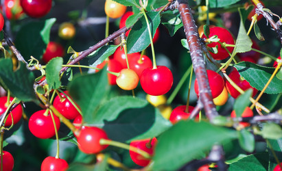 Similar image 364146