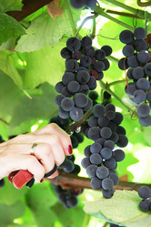 Similar image 364147