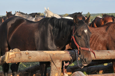 Similar image 364150