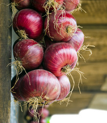 Similar image 364184