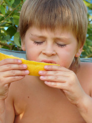 Similar image 364193