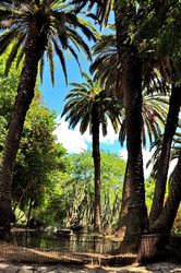 Similar image 364236