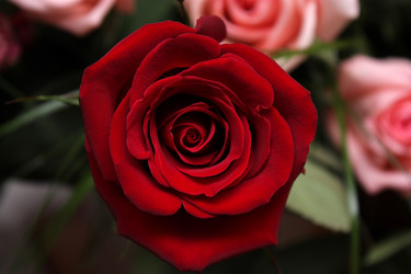 Similar image 364349