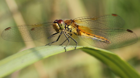 Similar image 364352