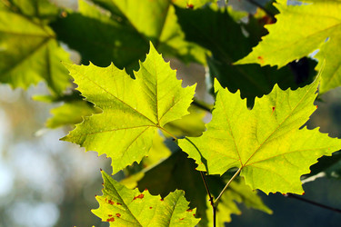 Similar image 364369