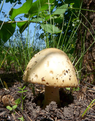 Similar image 364376