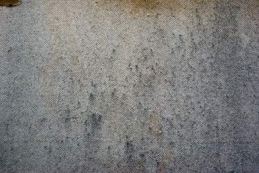 Similar image 364426