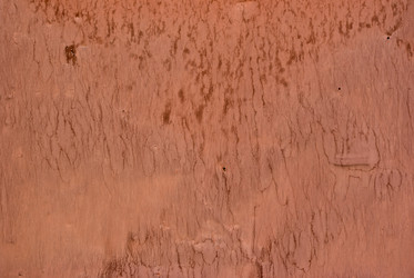 Similar image 364430