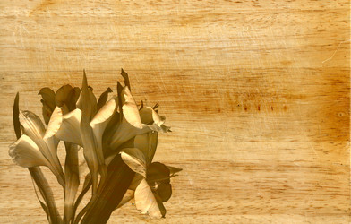 Similar image 364447