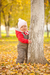 Similar image 364470