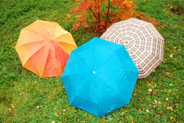 Similar image 364532