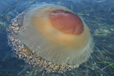 Similar image 364540