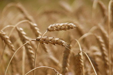 Similar image 364566