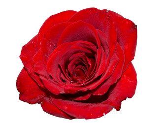 Similar image 364620